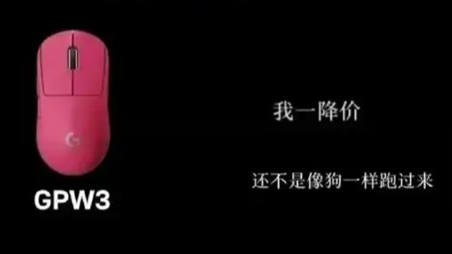 罗技中国区营收喜人 曾侮辱顾客是狗热搜配图