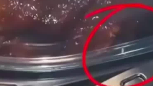 郑州麦德龙回应熟食区现蛆虫热搜配图