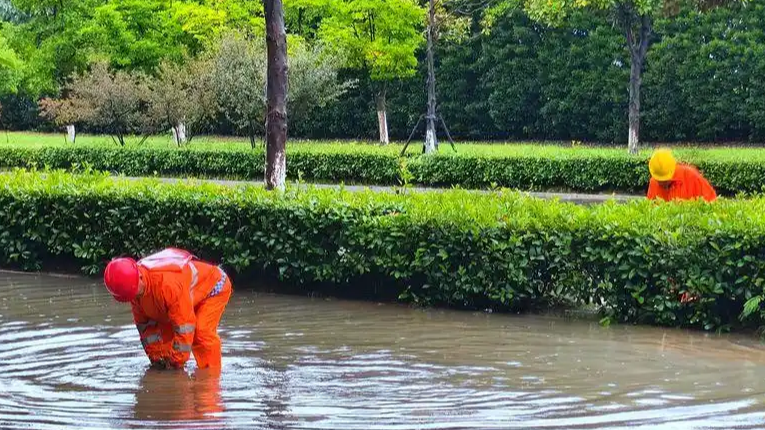台风带来降水 江沪部分地区出现积水热搜配图