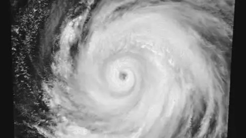 台风白海豚登陆地点更新热搜配图