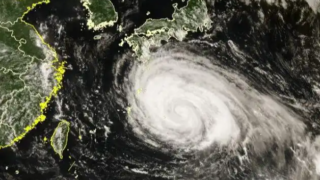 白海豚 超强造雨能力热搜配图