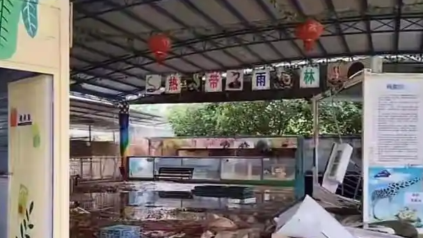 洪水中锁死狮子该不该热搜配图